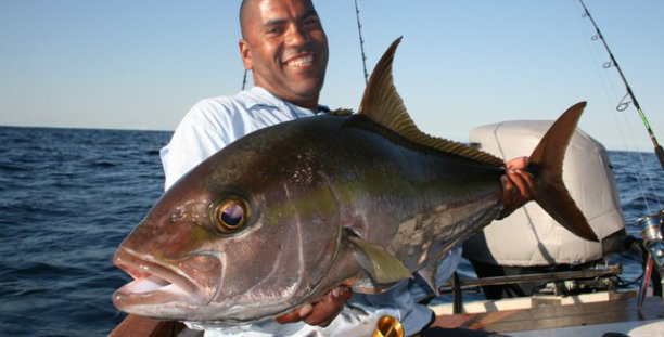 Elephants in Reserve